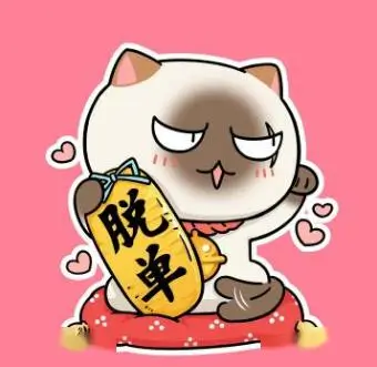 观众夜航的猫的头像